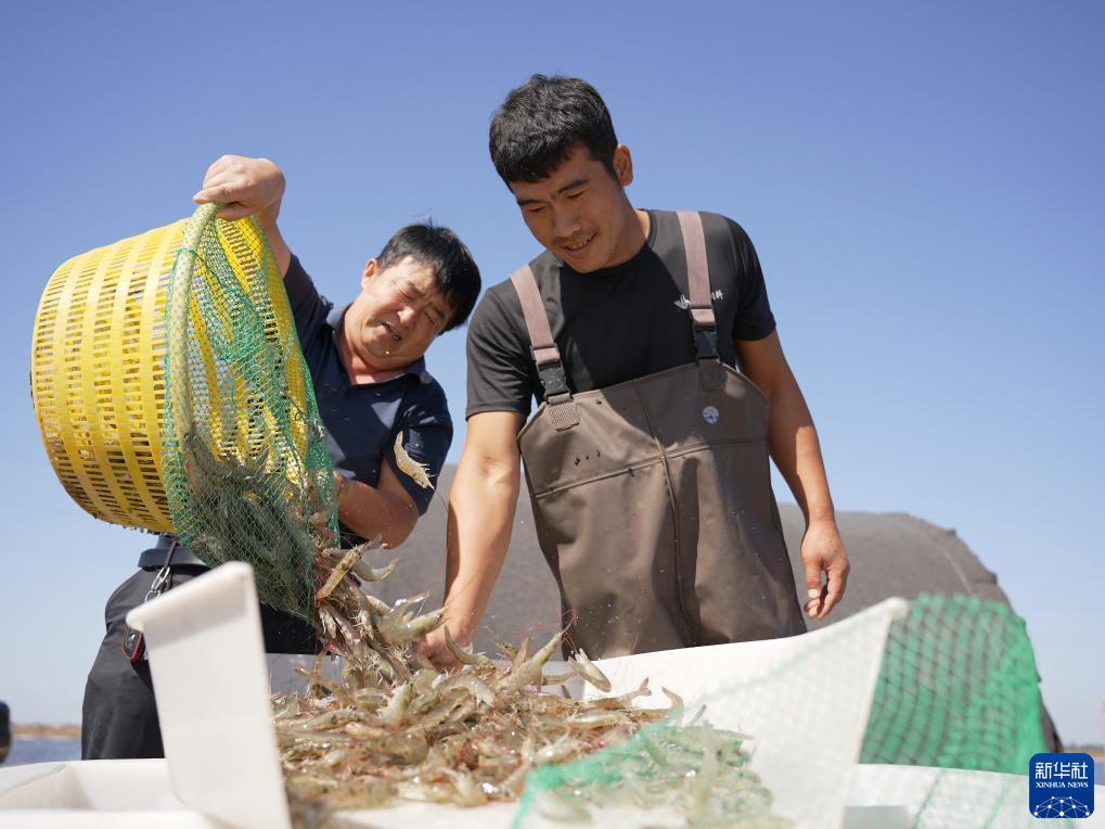 宝博游戏论坛